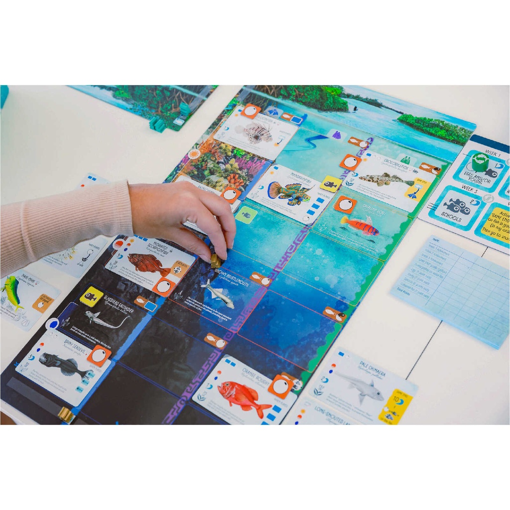 Finspan Setup In Play