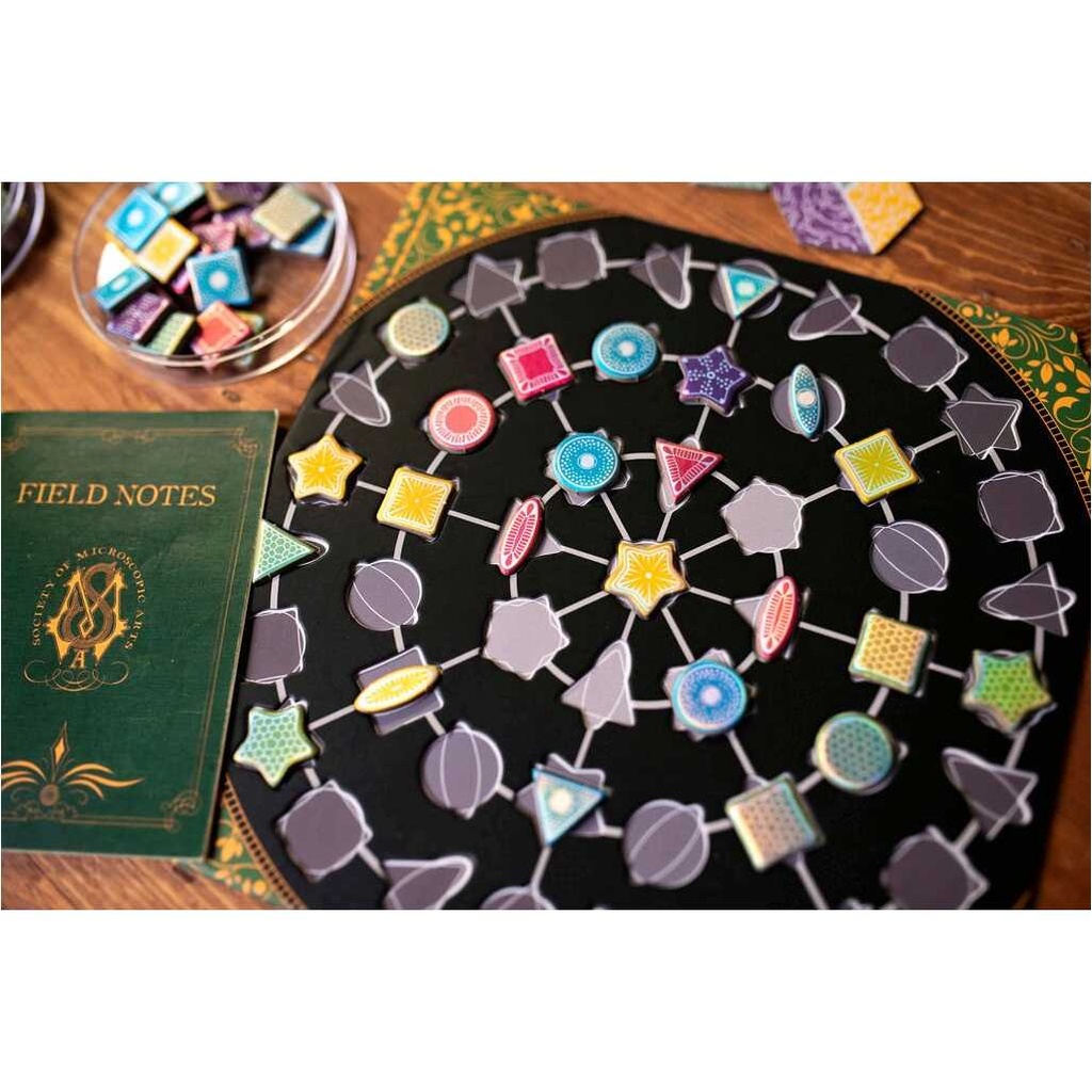Diatoms Setup In Play