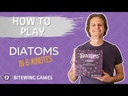 Diatoms How to Play Video