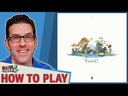 TOKAIDO How to Play Video